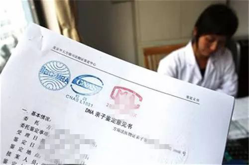 亲子鉴定书