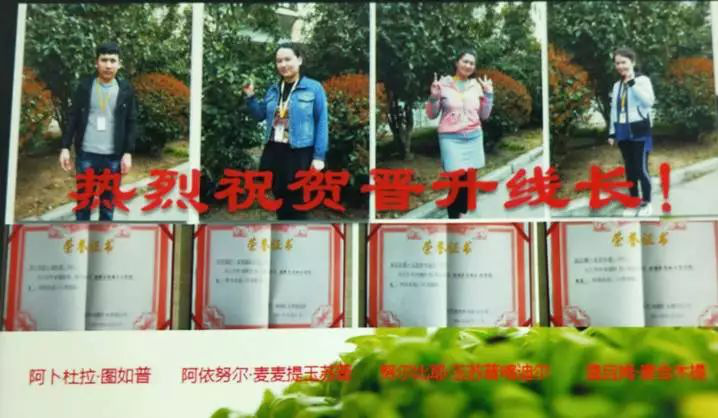 一群新疆青年来到合肥不想走，为啥？