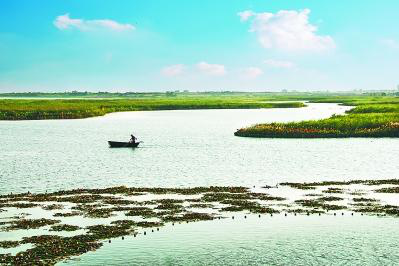 合肥积极整改恢复巢湖湿地