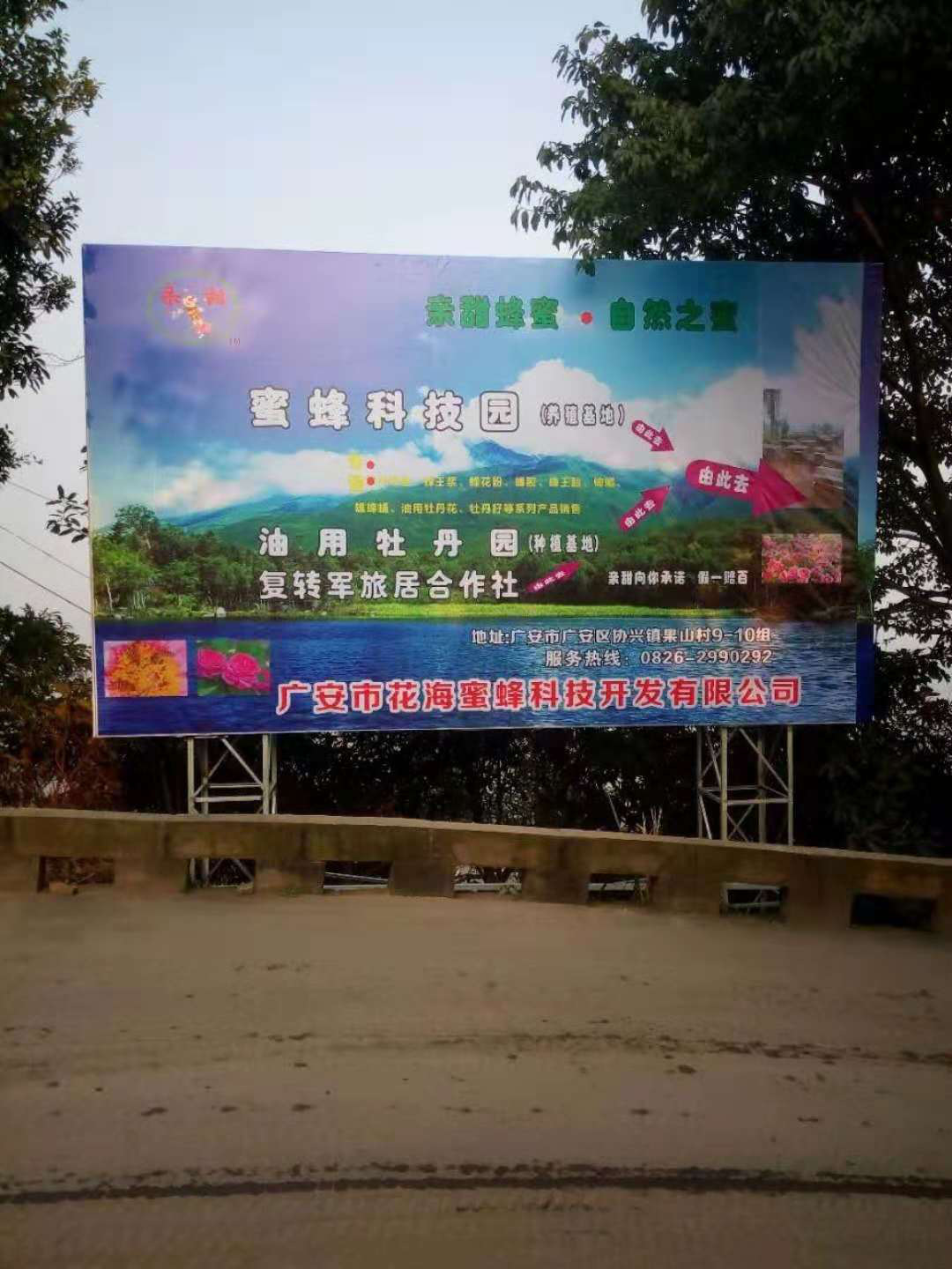 自然之蜜：包氏蜂蜜合作社引领行业风向